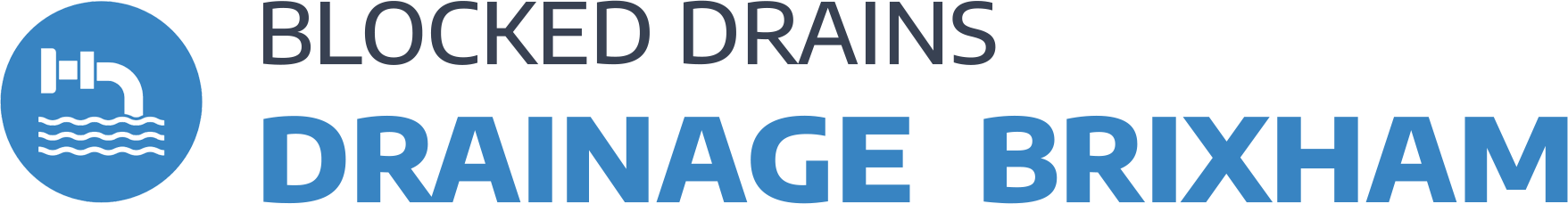 website logo